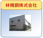 Hayashi Seiko Co.Ltd. 